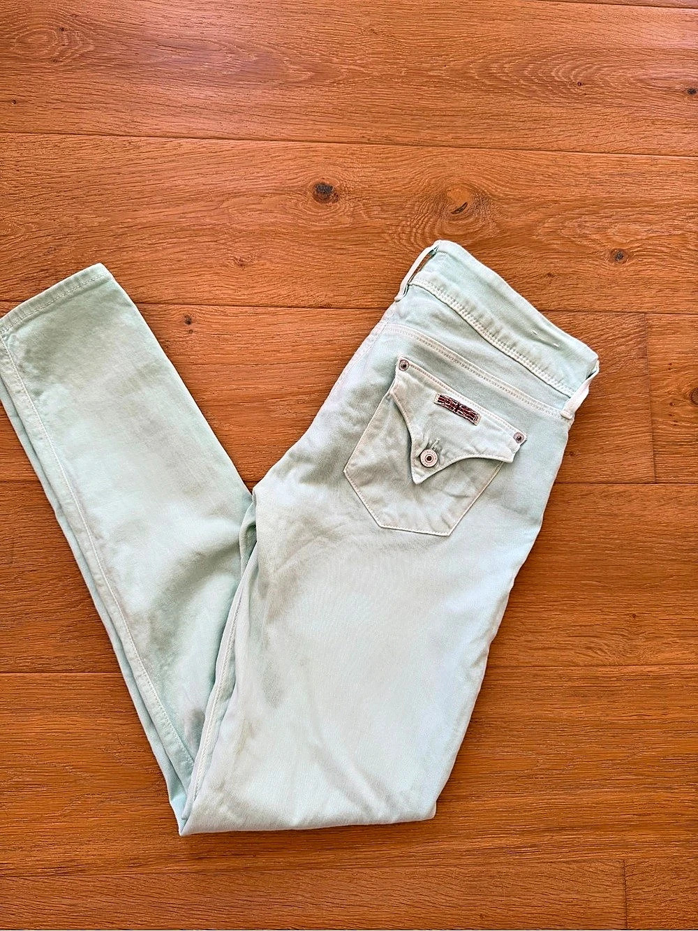 Hudson Skinny Jeans in Mint Green